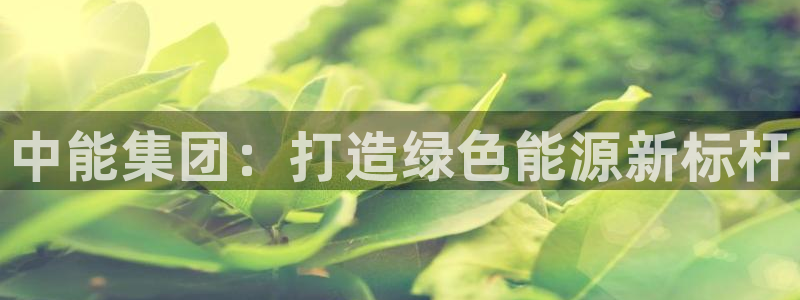申博手机版官网
