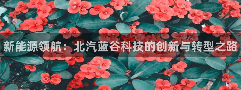 sunbet游戏官网