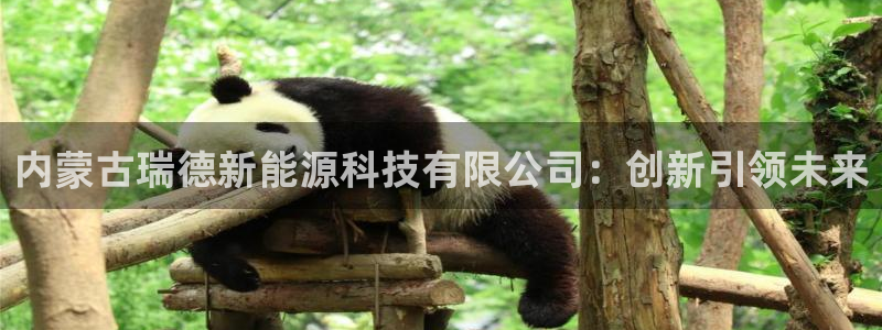 sunbet英语翻译