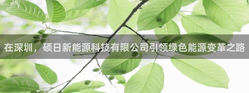 sunbet首页登录入口