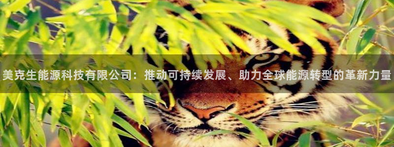 申博手机网址