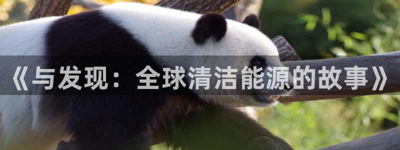 sunbet游戏最新版