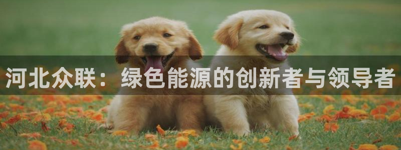 sunbet手机网页版下载