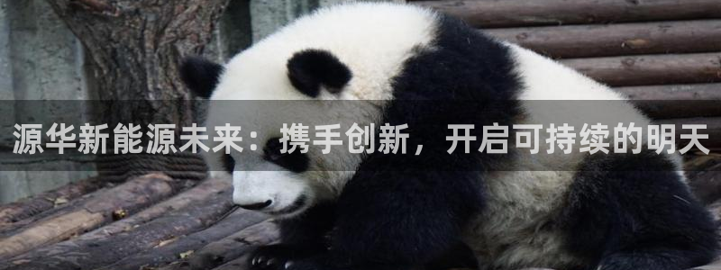 sunbet手机端