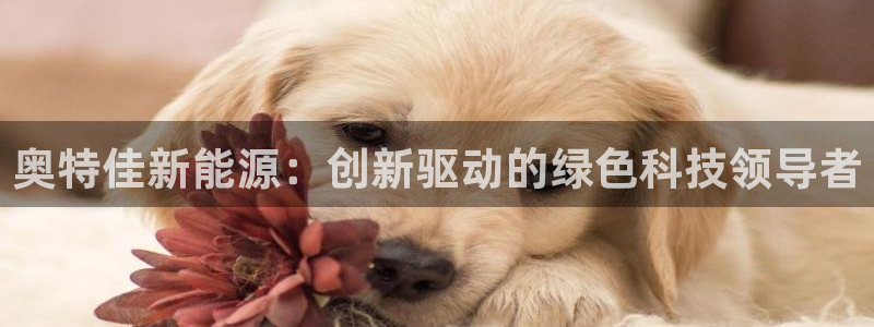 sunbet官网登录首页