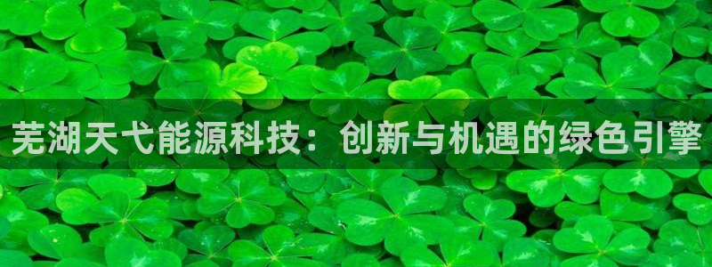 sunbet手机版登录