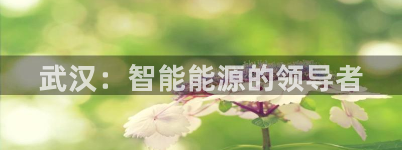 sunbet中国官网