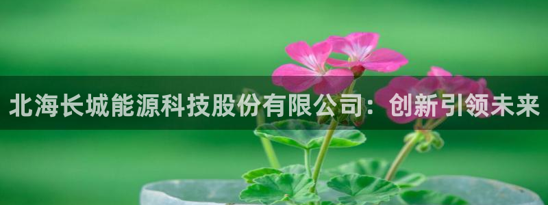 sunbet申搏官方网站