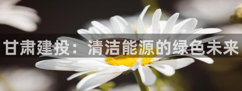sunbet官网开户登录手机版