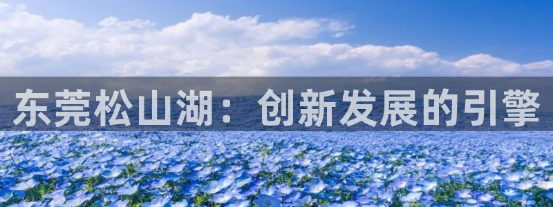 sunbet官网手机版登录