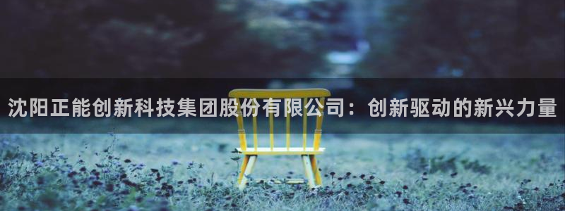 sunbet英语翻译