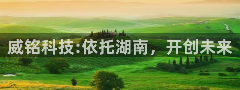 申博官方网站手机版下载