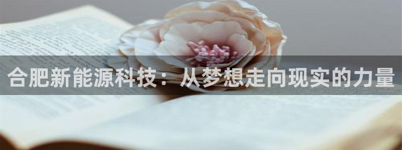 sunbet手机网页版