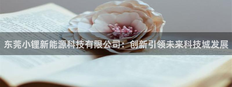 申博手机版官网