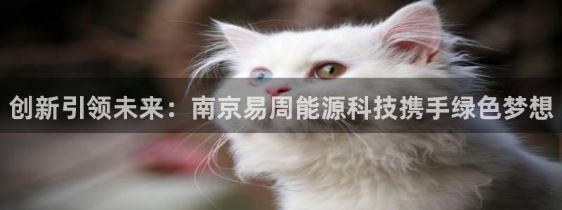 sunbet官网代理下载