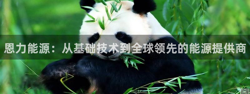 申慱sunbet手机版登