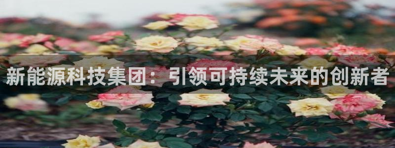 申博手机版官网