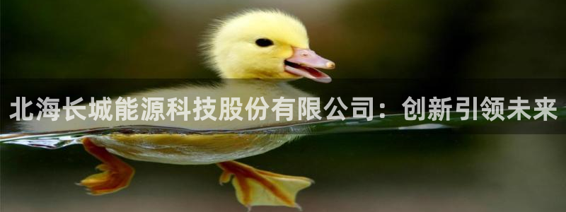 申博手机版app下载