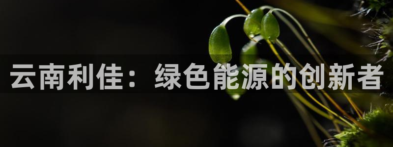 sunbet手机网页版