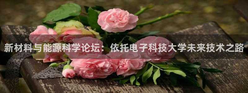 sunbet线上真人手机版