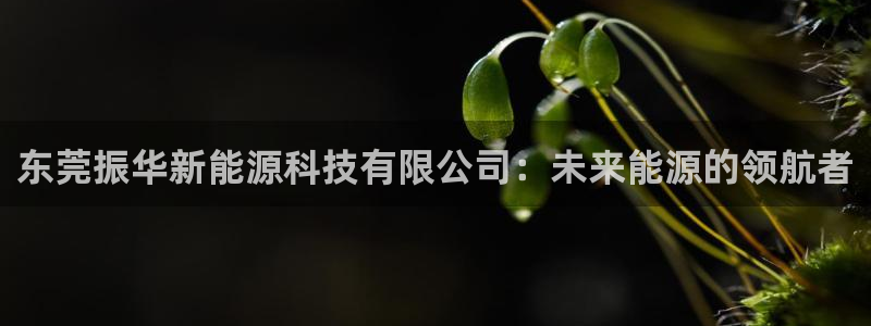 sunbet官网代理下载