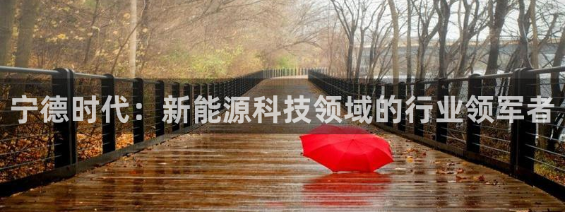 sunbet官网手机版登录