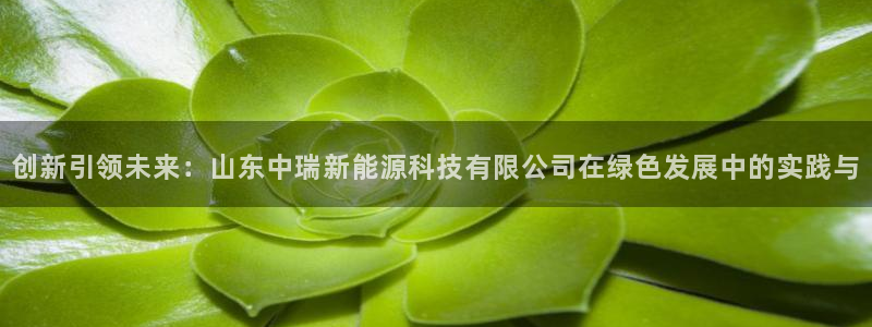 申博手机网址