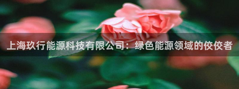 sunbet申搏平台