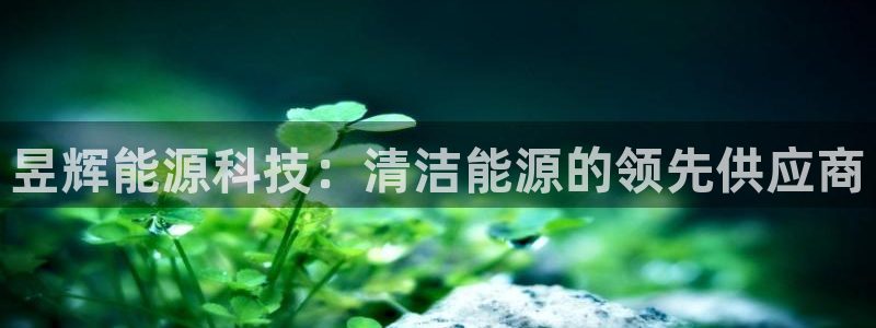 进入sunbet官网手机版登陆