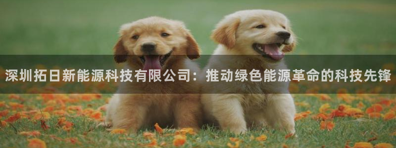 sunbet手机版登录