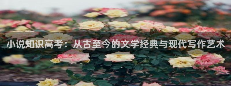牛眼看书总排行